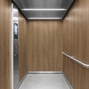 Film décoratif 3M  Di-Noc  WG-1837  Wood Grain  mat  1220 mm x 50 m