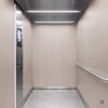 3M Di-Noc Film décoratif d'intérieur PVC WG-1846 230µm  1220 mm x 50 m 7000008028