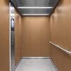 3M Di-Noc Film décoratif d'intérieur PVC WG-2246 230µm  1220 mm x 50 m 7100026744