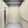 3M Di-Noc Film décoratif d'intérieur PVC WG-2430 200µm  1220 mm x 50 m 7100320919