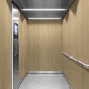 3M Di-Noc Film décoratif d'intérieur PVC WG-2431 200µm  1220 mm x 50 m 7100320918
