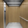 3M Di-Noc Film décoratif d'intérieur PVC WG-2432 200µm  1220 mm x 50 m 7100320921