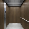 3M Di-Noc Film décoratif d'intérieur PVC WG-2444 200µm  1220 mm x 50 m 7100320795