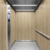 3M Di-Noc Film décoratif d'intérieur PVC WG-2450 200µm  1220 mm x 50 m 7100320892