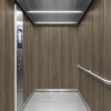 3M Di-Noc Film décoratif d'intérieur PVC WG-2451 200µm  1220 mm x 50 m 7100320974