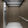 3M Di-Noc Film décoratif d'intérieur PVC WG-2461 200µm  1220 mm x 50 m 7100320973