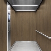3M Di-Noc Film décoratif d'intérieur PVC WG-2462 200µm  1220 mm x 50 m 7100320971