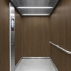 3M Di-Noc Film décoratif d'intérieur PVC WG-2463 200µm  1220 mm x 50 m 7100320895
