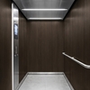 3M Di-Noc Film décoratif d'intérieur PVC WG-2464 200µm  1220 mm x 50 m 7100320972
