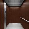 3M Di-Noc Film décoratif d'intérieur PVC WG-693 230µm  1220 mm x 50 m 7000035029