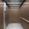 Film décoratif 3M  Di-Noc  WG-696  Wood Grain  demi-mat  1220 mm x 50 m