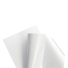 Papier Couché Chrome Astralux 1 face Blanc 300 g/m²  700 mm x 1000 mm enramé