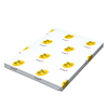 Papier Couché 2U Gloss 300 g/m² 720 mm x 1020 mm Enramé 100 Feuilles