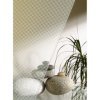 Film Blanc Motif points 3 mm PET