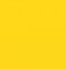 Avery Denisson 5500 - 5503 Sun Yellow