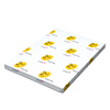 Papier  2U Digital Gloss,  BLANC, 350, 450x320,