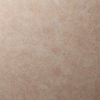 SE568AR