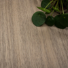 Coala Interior film Wood NH77 - Honey Walnut - effet bois
