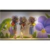 Coala Powergrafix - image of application in shop window