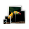 Cadre Mural - Coala System - solutions d’affichage et de presentation - format A0 - A1 - A2 - A3 - A4 - Encadrement pour presentations classiques de posters- Antalis