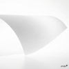 Curious Translucents - Papier calque incolore de qualité premium