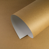CustomKote™ Carton kraft couché 1 face