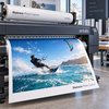 Diatrace Photo Capture, papier photo premium pour affichage grand forma