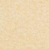Papier Keaykolour Original Parchment Chamois 170 g/m² 700 mm x 1000 mm Paquet de 125 feuilles
