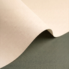Papier Olin Design Regular Warm White 170g/m² 720mm x 1020mm