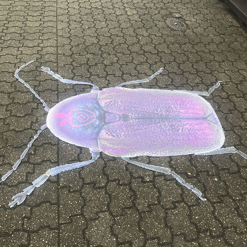 CarpetWalk - Tapis feutre imprimable 2000 x 40.00