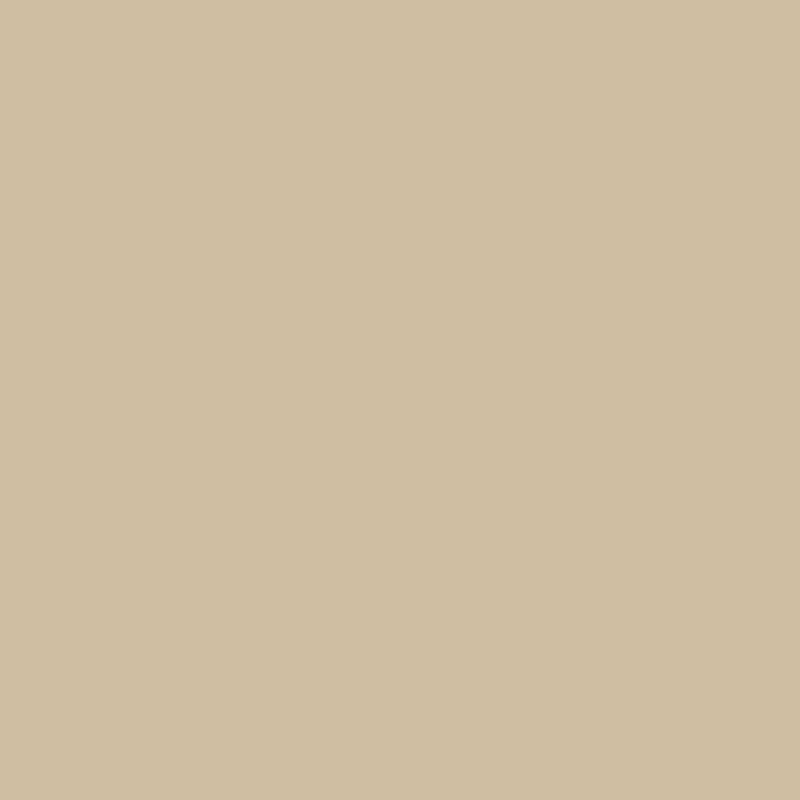Coala Interior film Couleur Unie NE55 - Dark Beige