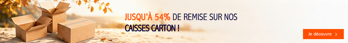 54% de remise sur nos caisses carton! 